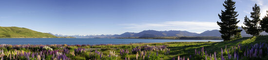 Plat ontwerp  P561 Lake Tekapo Nieuw Zeeland