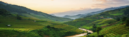 P590 Vietnam ricefields 