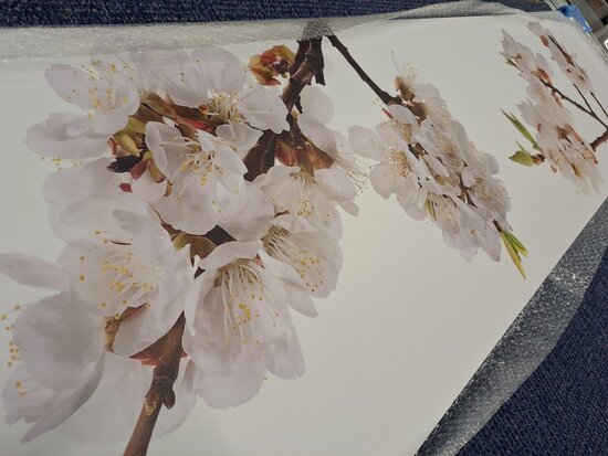 Premium-mat uitvoering Visuall P677 Cherry tree blossom