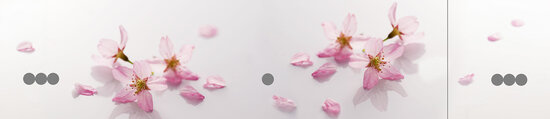 Plat ontwerp Visuall P669 Cherry blossom petal