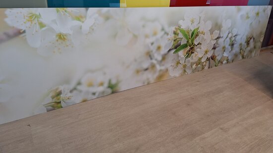 Premium-mat Visuall P665 Blossom on white