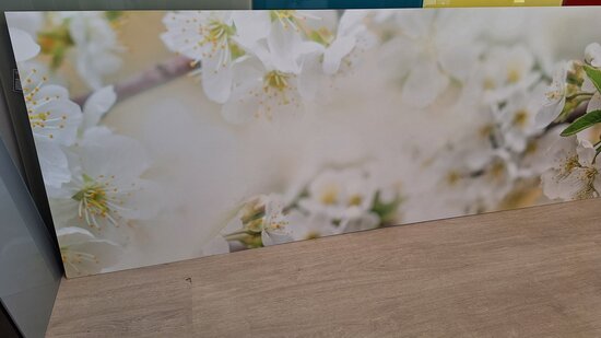 Premium-mat Visuall P665 Blossom on white