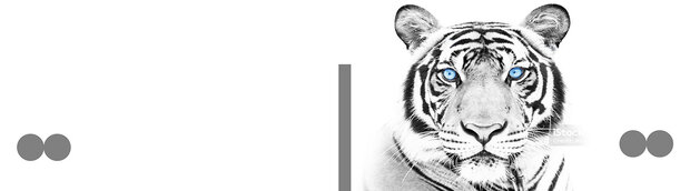 Plat ontwerp Visuall P650 Blue Eyed Tiger