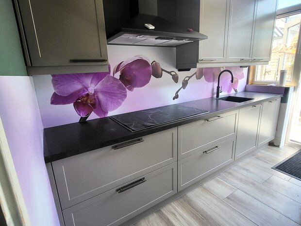 Premium-mat Visuall P43 Roze orchidee op achtergrond P675 Purple