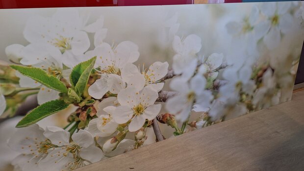 Premium-mat Visuall P665 Blossom on white