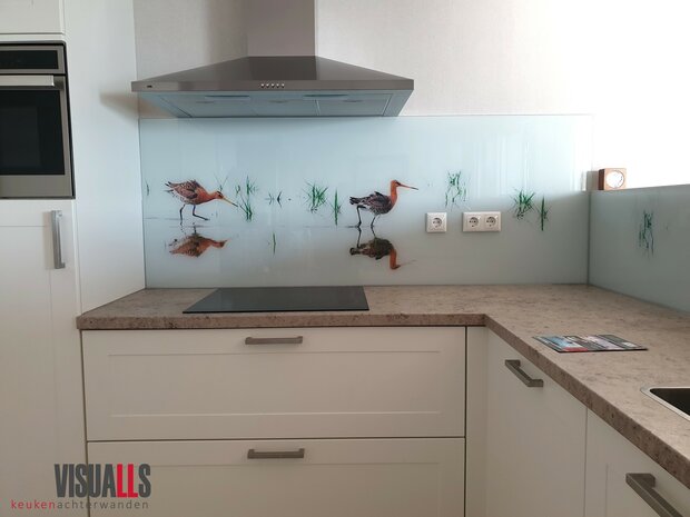 Premium-glas uitvoering Visuall P158 Grutto keukenwand